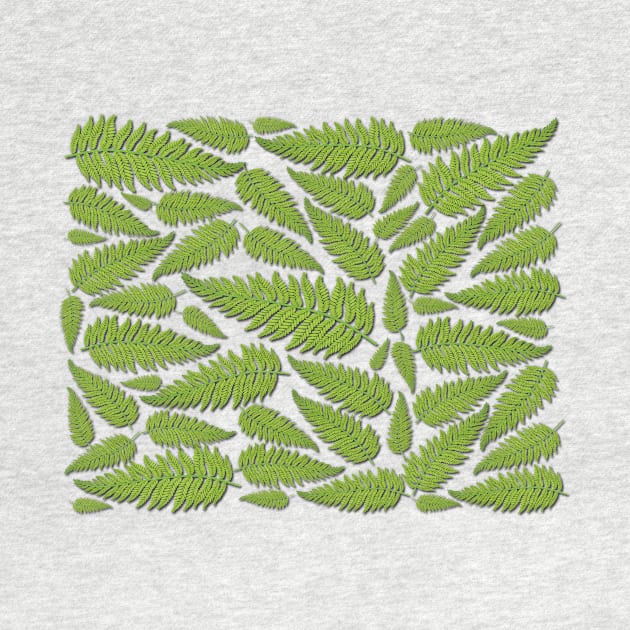 Ferns by Verl